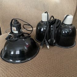 Reptile Lamp Heat Lamp