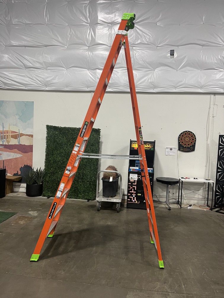 Louiseville 12ft Ladder
