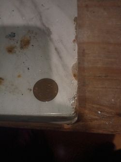 HIGH PRICE 2006 PENNY ETERNAL VALUE