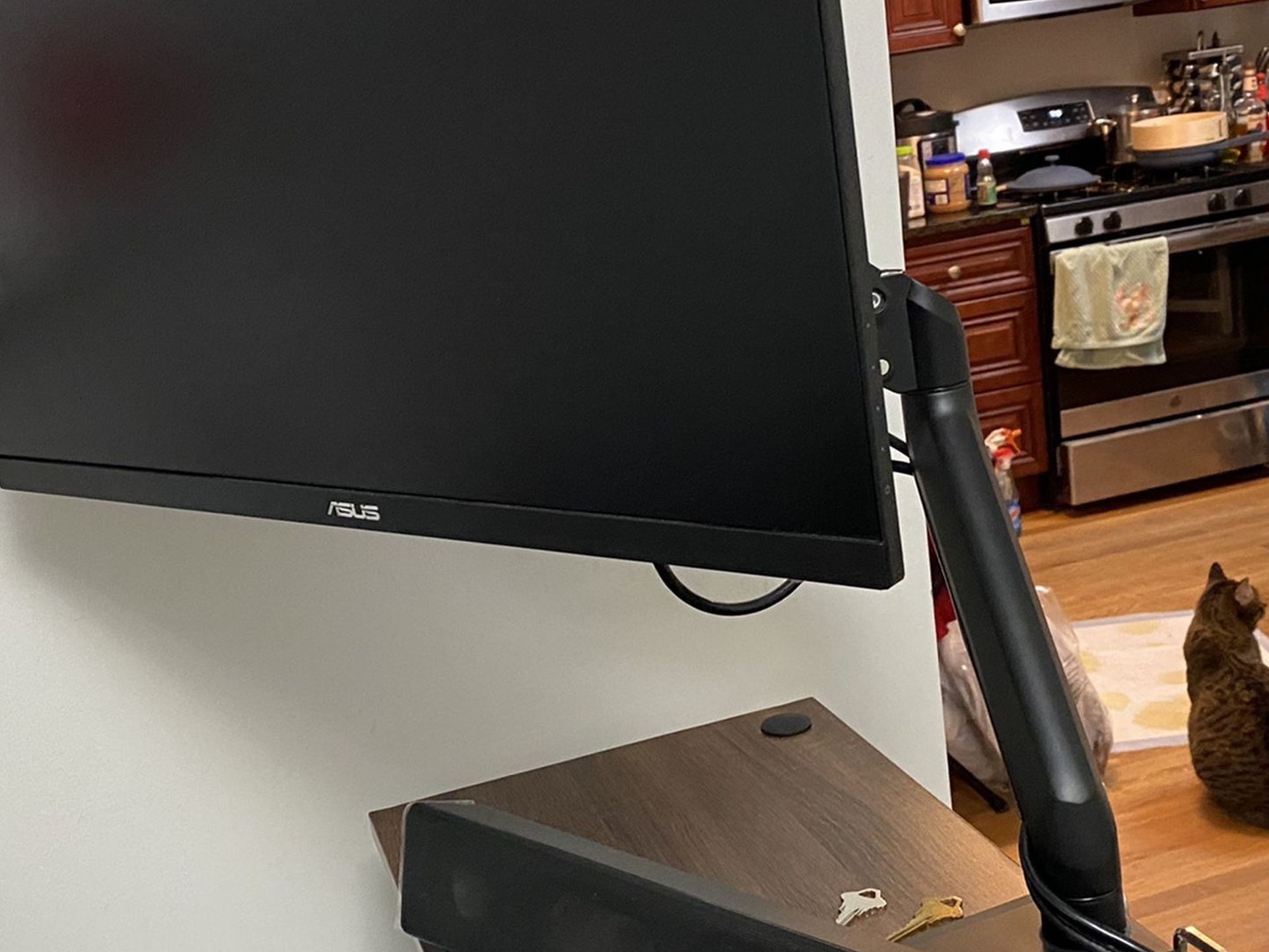 Asus Monitor And Sound Bar