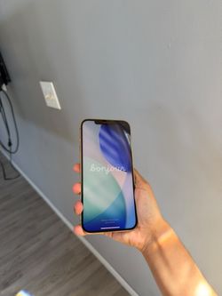 iPhone 12 Pro Max 256 GB Unlocked