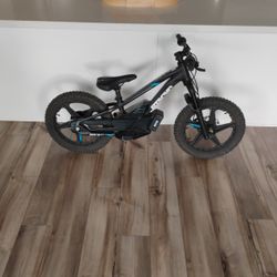 18 Stacy Electric Bike 