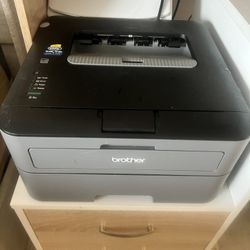 Brother HL-L2300D Monochrome Laser Printer with Duplex Printing (Renewed), Grey & Black 