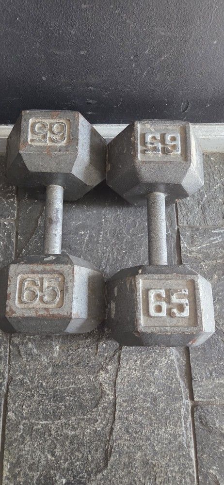 65LB HEX DUMBBELLS STEEL DUMBBELL WEIGHTS