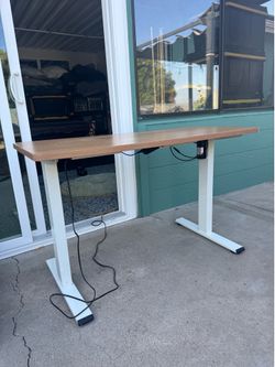 Electric Adjustable Standing Desk – $250