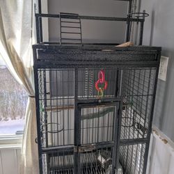 Bird Cage