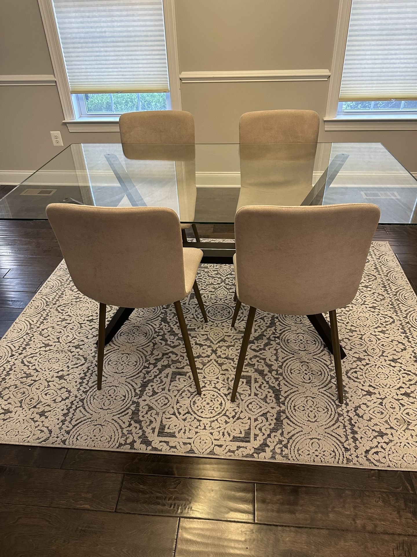 Dinning Set & Rug