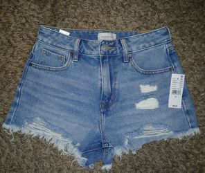 PAC SUN shorts NEW