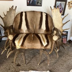 Shedded Moose And elk Chair 
