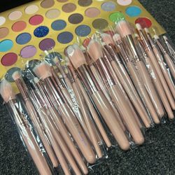 40 Colors Makeup Plate With 22 Pcs Makeup Brushes 