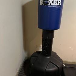 Boxing Punching/Kicking Bag