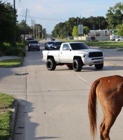 1995 Dodge Ram 1500
