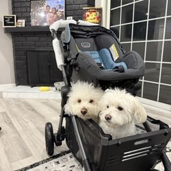 Pivot Troop Companion Double Modular Travel System - Bluestone Gray