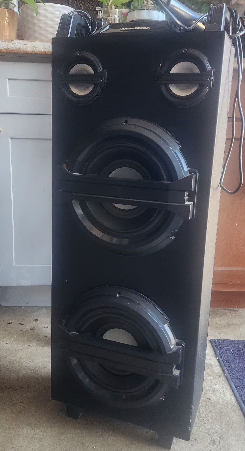 Karaoke Speaker With Microphone