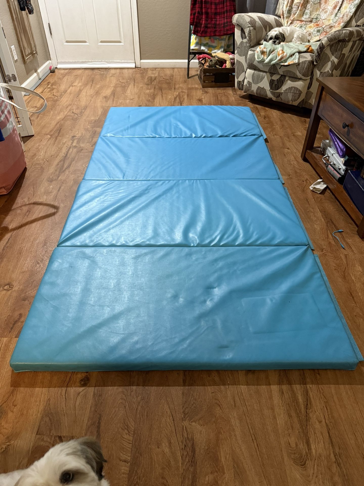 Blue Gymnastics Mat. 8ft X 4ft
