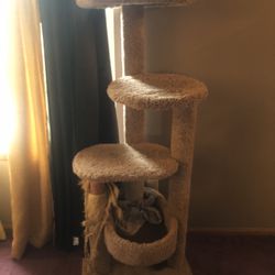 Cat Tree