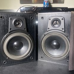 Dual Bookshelf Speakers — underrated 2000s American audio punchers that hit HARD for the price!