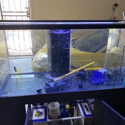 90 Gallon Elite Aquarium Saltwater Fish Tank