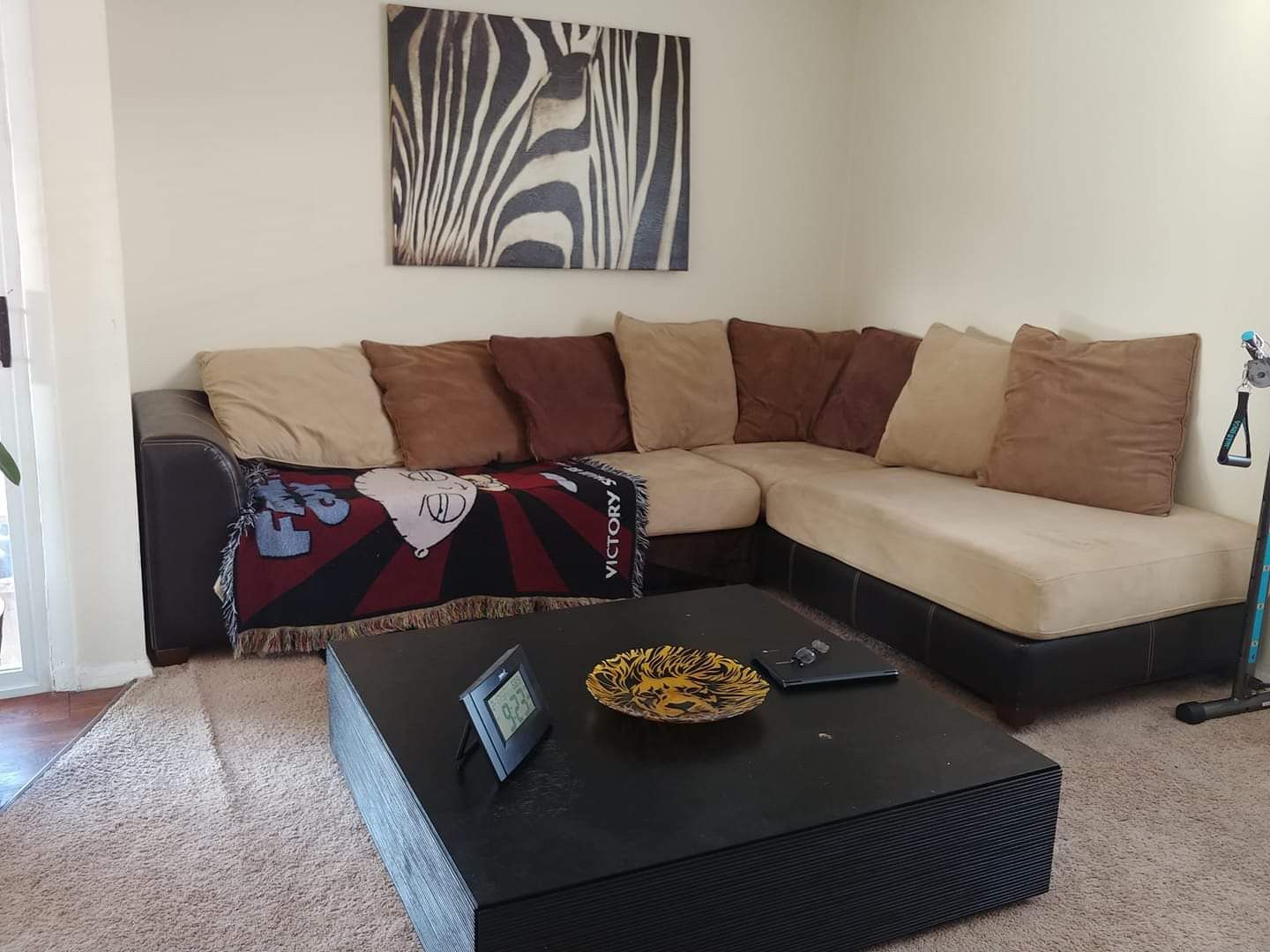 Designer Sectional Couch