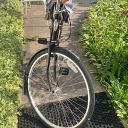 Electra. Like new, barely used. Only needs a wire for the front and rear net. Excellent condition.