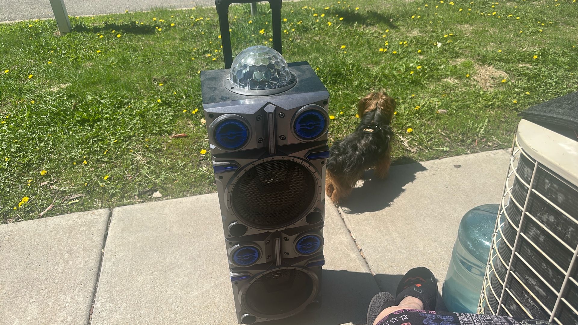Carry Around Speaker