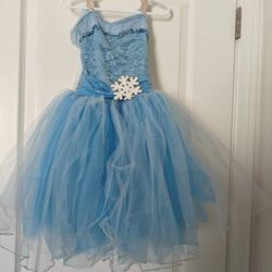 Like New Elsa Frozen Dress