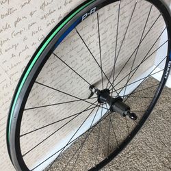 Giant Bike Wheel