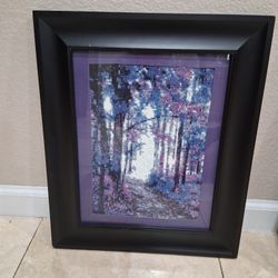 Framed Art Work 