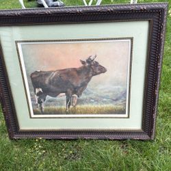 Cow 
