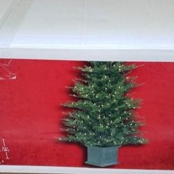 6.5 Wind wood Fir Potted Pri Lit Christmas Tree Indoor/outdoor