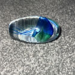 jellyfish in glass