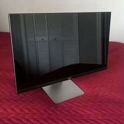 21 Inch Dell Computer Monitor 