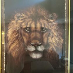 Framed Lion By Sam Bafaro