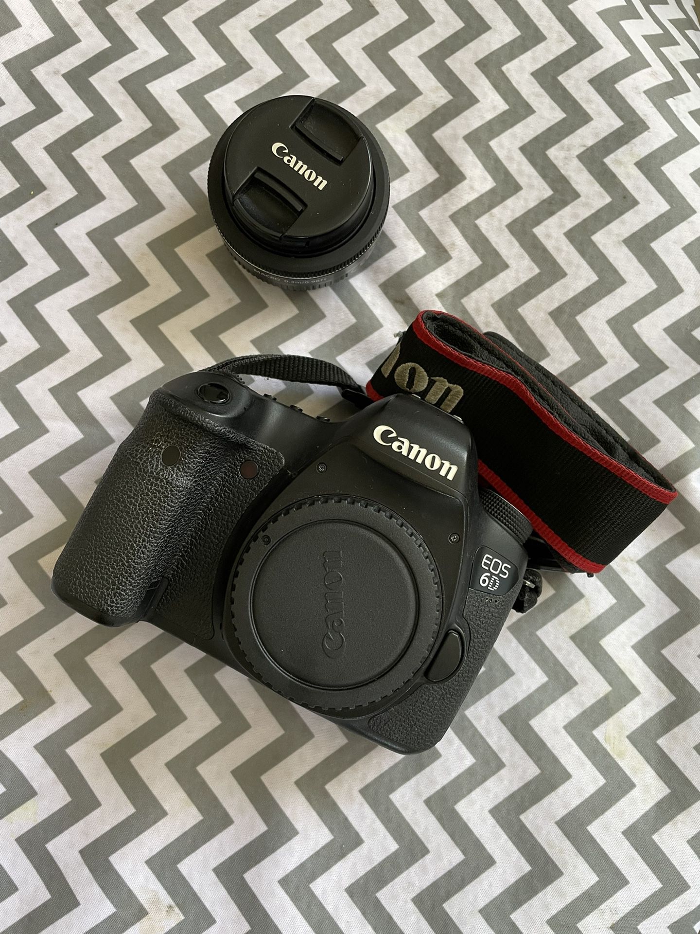 Canon 6D + Canon 40 MM Macro Lens