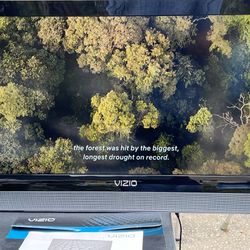 Vizio LCD TV