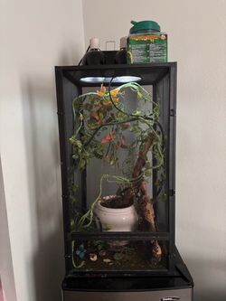 Chameleon cage
