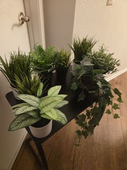 Variety of artificial plants