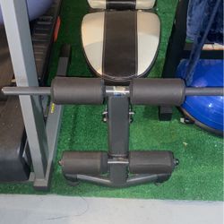 Gold’s Gym Bench