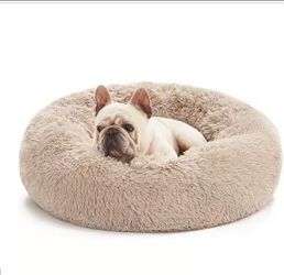 Dog bed small