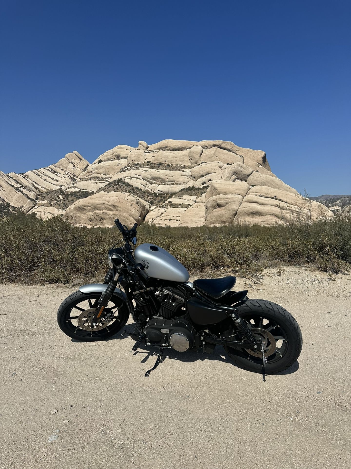 2020 Harley Davidson Iron 883