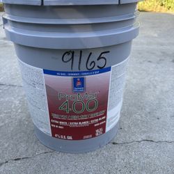 9165 “GOSSAMER VEIL” Paint 