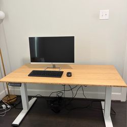 FlexiSpot E6 Bamboo Standing Desk (55” x 28”) Excellent Condition