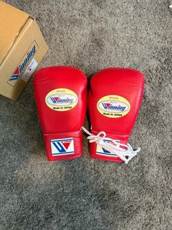 Winning boxing gloves