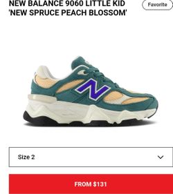 New Balance 9060 Little Kid 'New Spruce Peach Blossom'
Used
Size 2y