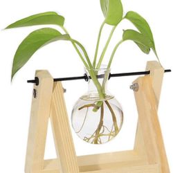 Desktop Glass Plants Terrariums Bulb Vase with Retro Solid Wooden Stand and Metal Swivel Holder for Hydroponics Plants Home Garden  New  Pick up at Re