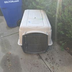 Dog Kennel
