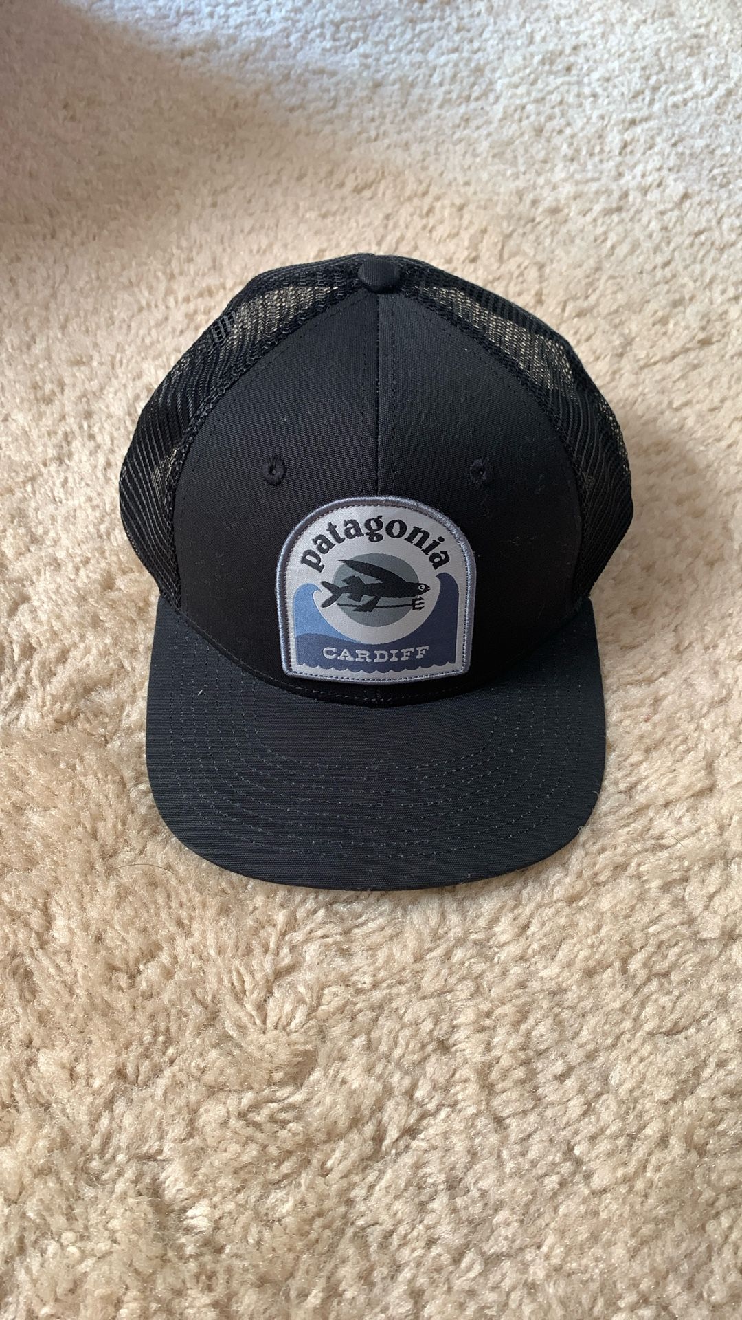 Patagonia Unreleased Cardiff Trucker Hat