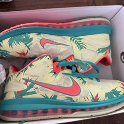 Nike LeBron IX Low “lebronald Palmer”