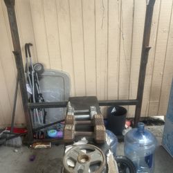 Weight Bench, Squat Rack, Dumbbells (8lb & 20lb)