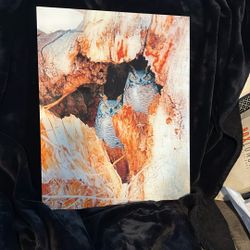 Wall Art Glass 20 X 16” Owl 🦉 